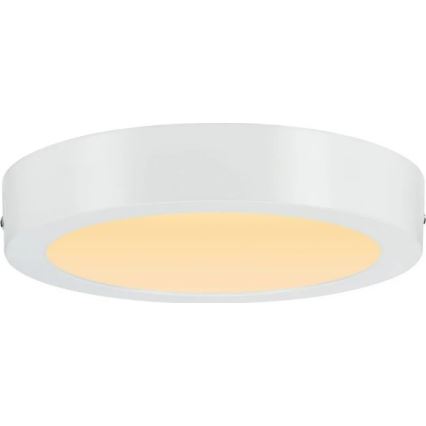 Paulmann 79795 - Plafonnier LED/13W CARPO 230V 2300/2500/3000K