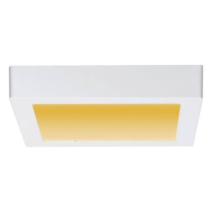 Paulmann 79796 - LED/13W Plafond Lamp CARPO 230V 2300-3000K