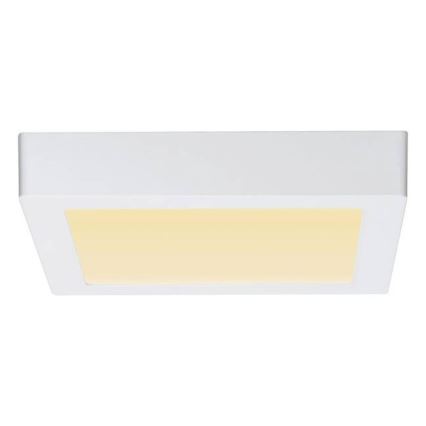 Paulmann 79796 - Plafonnier LED/13W CARPO 230V 2300-3000K