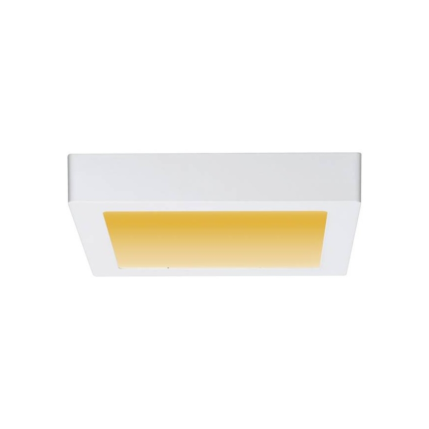 Paulmann 79796 - Plafonnier LED/13W CARPO 230V 2300-3000K
