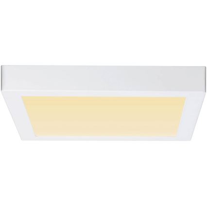 Paulmann 79801 - Plafonnier LED/13W CARPO 230V 2300/2500/3000K