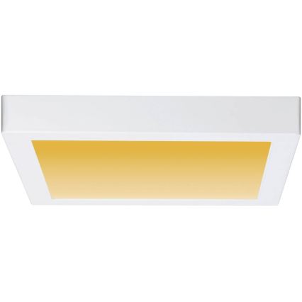 Paulmann 79801 - Plafonnier LED/13W CARPO 230V 2300/2500/3000K