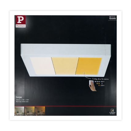 Paulmann 79801 - Plafonnier LED/13W CARPO 230V 2300/2500/3000K