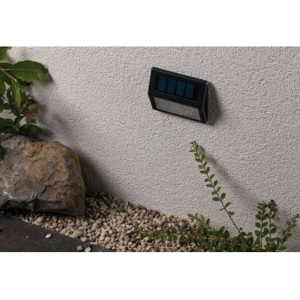 Paulmann 94234 - LED/0,05W IP44 Solarlamp voor buiten met sensor DAYTON 1,2V 400 mAh