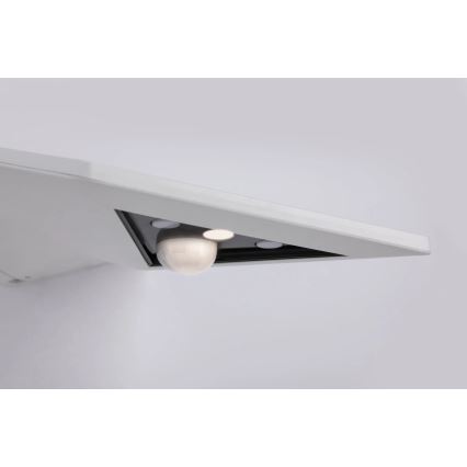 Paulmann 94244 - Applique murale solaire LED 1,2 W IP44 avec capteur YOKO 3,7 V 1800 mAh, blanche