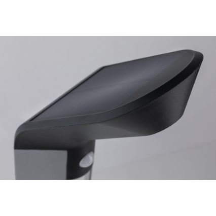 Paulmann 94252 - LED/1,2W IP44 Lampe solaire d'extérieur avec détecteur SOLEY 230V