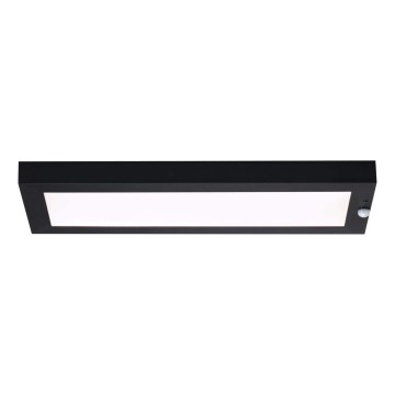 Paulmann 94256_1 - LED/10W IP44 Plafonnier extérieur avec détecteur 230V