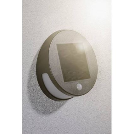 Paulmann 94265 - LED/3W IP44 Buiten zonne-energie lamp met sensor HELENA 3,7V 1800 mAh