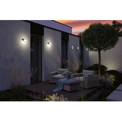 Paulmann 94401 - LED/10W IP44 Wandlamp voor buiten BOL 230V