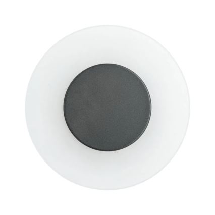 Paulmann 94409 - LED/4W IP44 Wandlamp voor buiten CIRCEA 230V