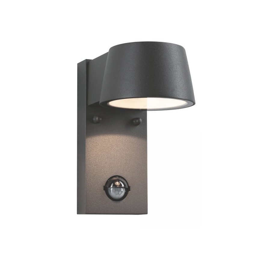 Paulmann 94453 - LED Buiten wandlamp met sensor / 6W IP44 CAPEA 230V