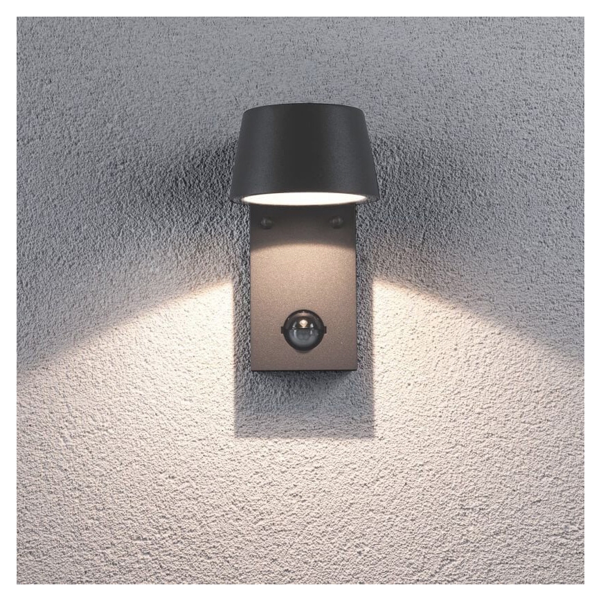 Paulmann 94453 - LED Buiten wandlamp met sensor / 6W IP44 CAPEA 230V