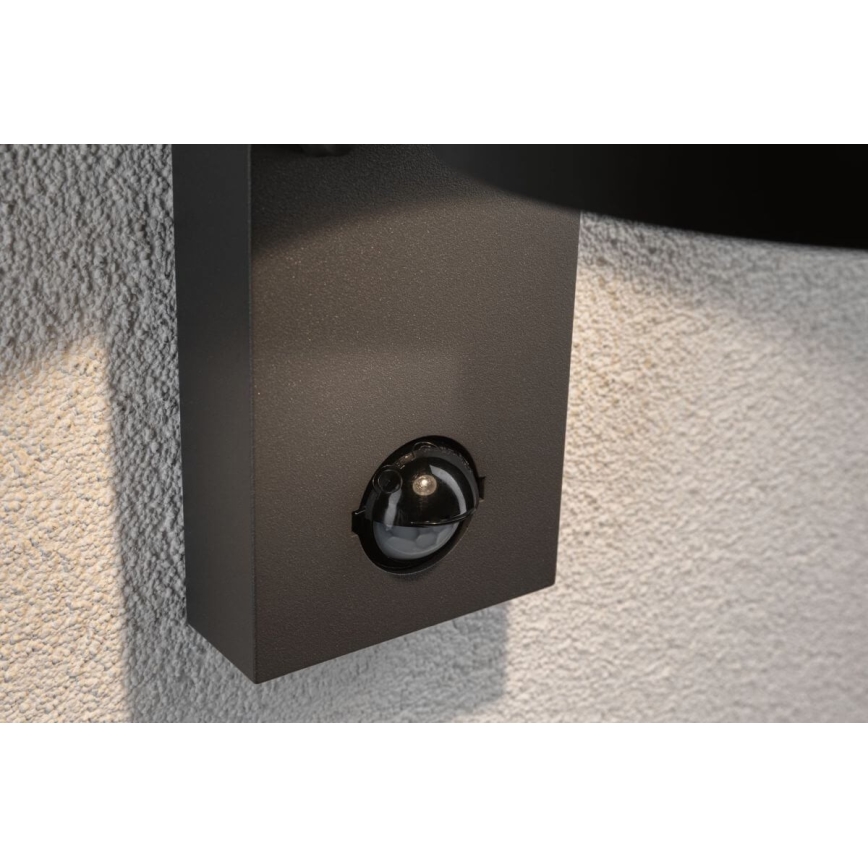 Paulmann 94453 - LED Buiten wandlamp met sensor / 6W IP44 CAPEA 230V