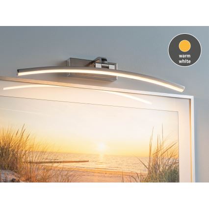 Paulmann 95558 - LED/10W Schilderijverlichting BENTO 230V 50 cm mat chroom