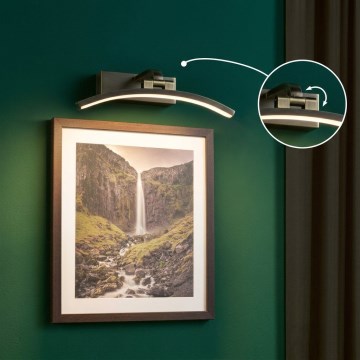 Paulmann 95559 - LED/6W schilderijlamp BENTO 230V 30 cm messing