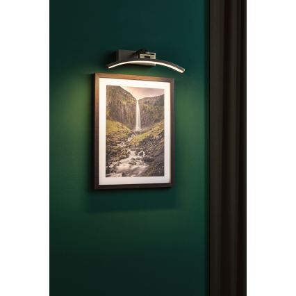 Paulmann 95559 - LED/6W schilderijlamp BENTO 230V 30 cm messing