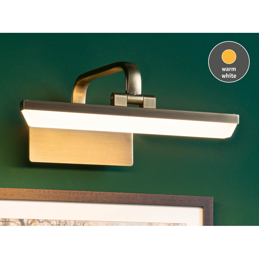 Paulmann 95568 - LED/6W Luminaire pour tableaux RENAN 230V 30 cm laiton