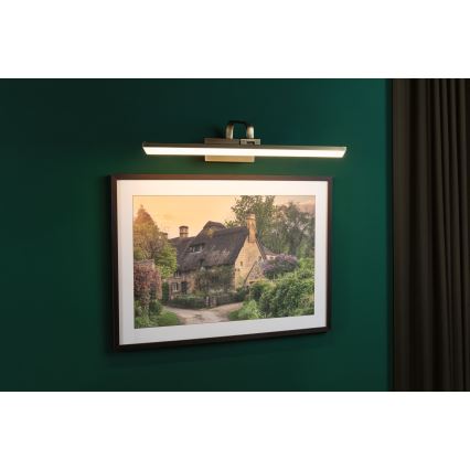 Paulmann 95570 - LED/11W schilderijlamp RENAN 230V 60 cm messing