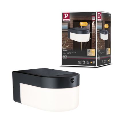 Paulmann 95747 - LED/2,3W IP44 zonne-wandlamp met sensor CALYNE 3,7/230V 4000 mAh zwart