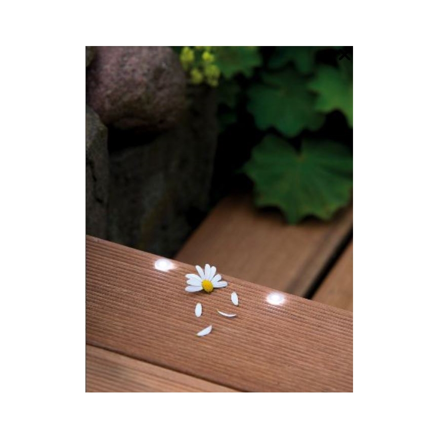 Paulmann 98891 - SET 5X LED/0,16W IP67 Luminaire encastré d'extérieur MICRO 230V