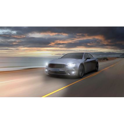 Philips 11342U51X2 - LOT 2x LED Ampoule pour voiture Ultinon Pro5100 H4 P43t-38/12W/12/24V 5800K