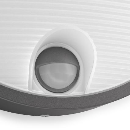 Philips - LED Lamp voor Buiten met Sensor LED/6W IP44