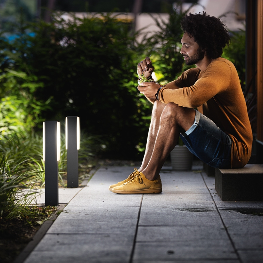 Philips 16488/93/P3 - Bornes d'éclairage extérieur MYGARDEN STRATOSPHERE 2xLED/4,5W