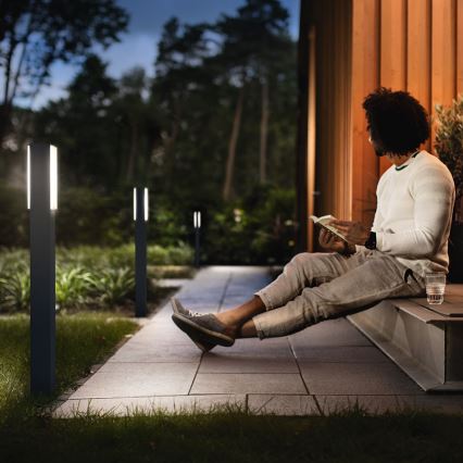 Philips 16489/93/P3 - Bornes d'éclairage extérieur MYGARDEN STRATOSPHERE 2xLED/4,5W