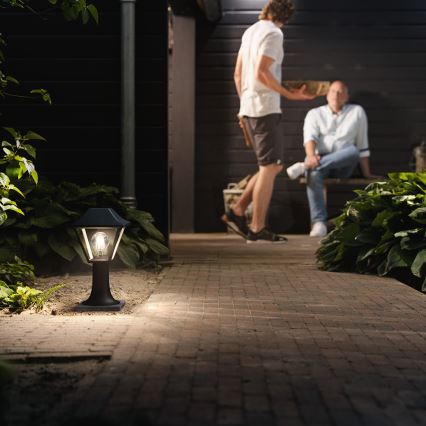 Philips 16496/30/PN - Buitenlamp MYGARDEN ALPENGLOW E27/60W/230V IP44