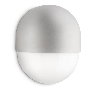 Philips 17256/87/16 - Buiten wandverlichting FOREST 1xE14/12W/230V IP44