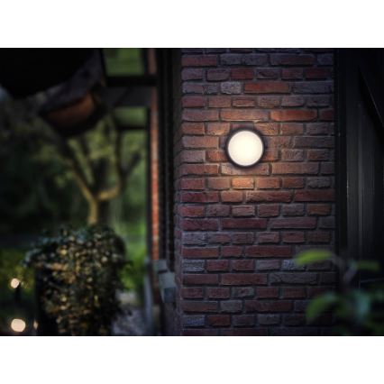 Philips 17304/30/16 - LED Wandlamp voor buiten MYGARDEN EAGLE 1xLED/3,5W IP44