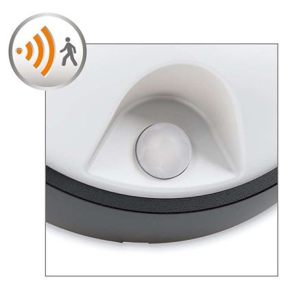 Philips - LED Buitenlamp met sensor 1xLED/3,5W/230V IP44