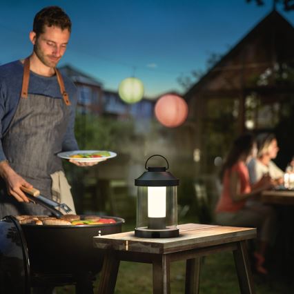 Philips 17360/30/P0 - LED Buitenlamp dimbaar ABELIA LED/3W IP44