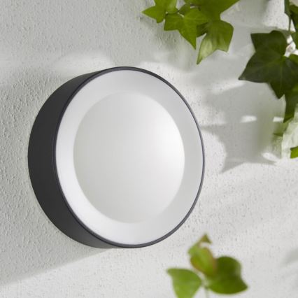 Philips - LED RGBW Applique murale extérieure à intensité variable Hue DAYLO LED/15W/230V 2000-6500K IP44