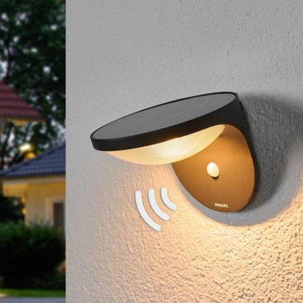 Philips - Éclairage solaire extérieure avec détecteur 1xLED/1W/3,7V IP44