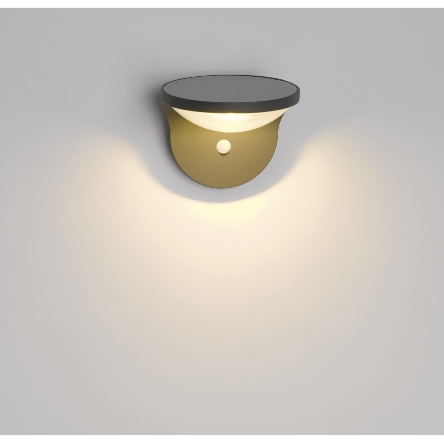 Philips - Éclairage solaire extérieure avec détecteur 1xLED/1W/3,7V IP44