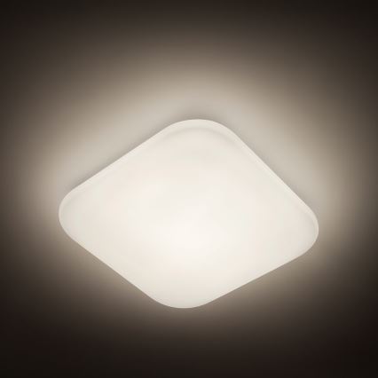 Philips - LED Plafond Lamp 1xLED/17W/230V 4,000K