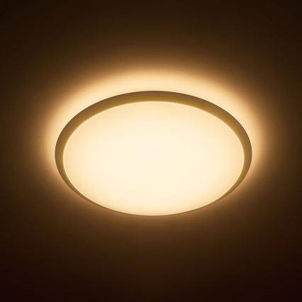 Philips - plafonnier LED 1xLED/17W/230V