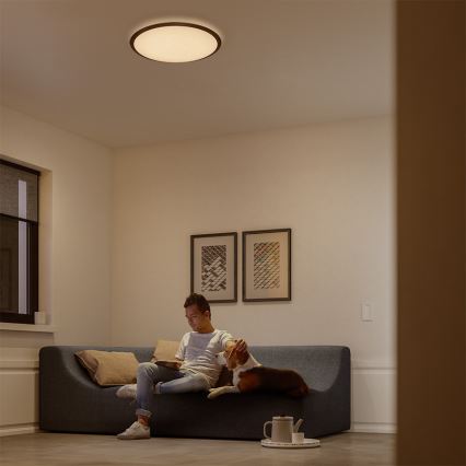 Philips 32809/31/P0 - Plafonnier LED à intensité modulable CANAVAL LED/18W/230V