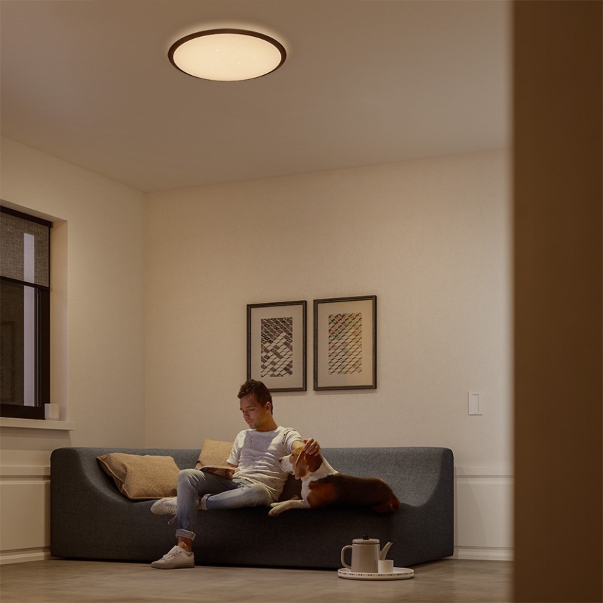Philips 32809/31/P3 - Plafonnier LED à intensité modulable CANAVAL LED/18W/230V