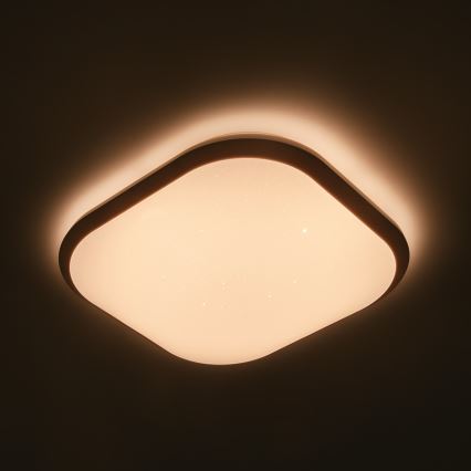 Philips - Dimbare LED Plafond Lamp LED/18W/230V