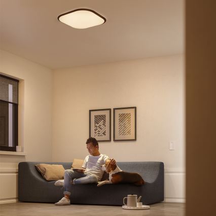 Philips - Dimbare LED Plafond Lamp LED/18W/230V