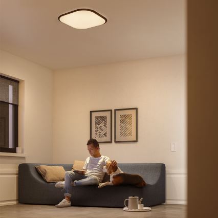 Philips 32810/31/P0 - Plafonnier LED à intensité modulable CANAVAL LED/18W/230V