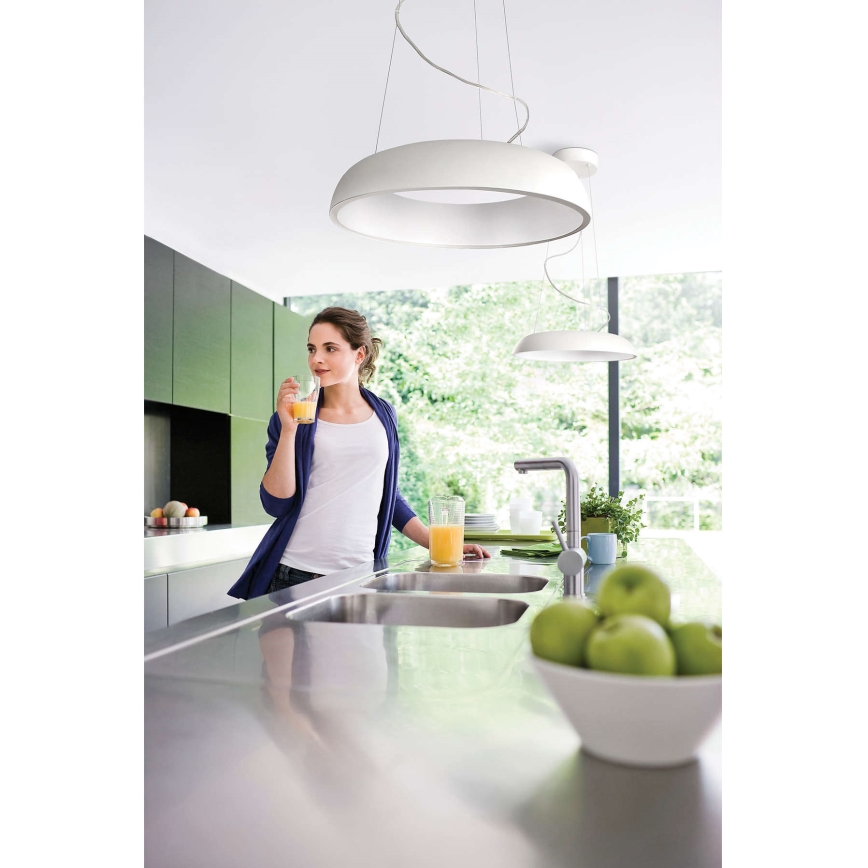 Philips 40233/48/16 - Hanglamp MYLIVING AMAZE 1x2GX13/60W/230V
