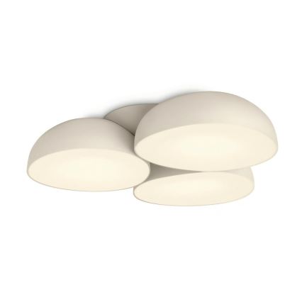 Philips 40829/38/16 - LED Plafondlamp INSTYLE STONEZ 12xLED/2,5W/230V