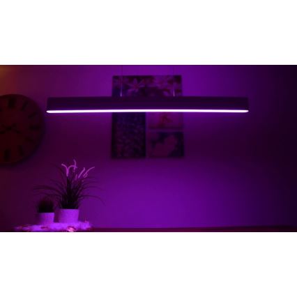 Philips – LED Hanglamp on a String Hue ENSIS White And Colour Ambiance 2×LED/39W/230V