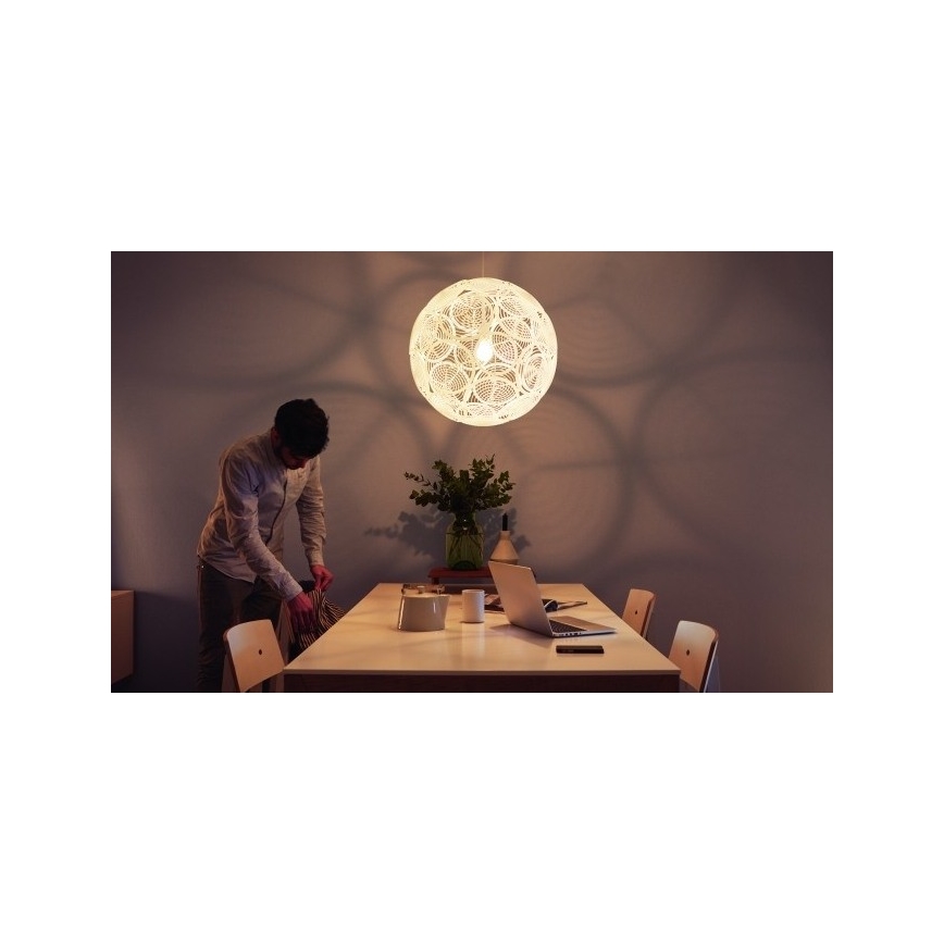 Philips - Suspension E27/60W/230V