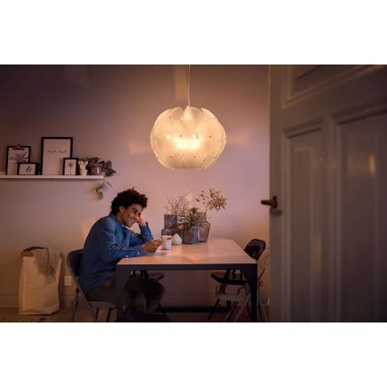 Philips 40966/60/PN - Hanglamp MYLIVING ROSEVAL 1x E27 / 60W / 230V