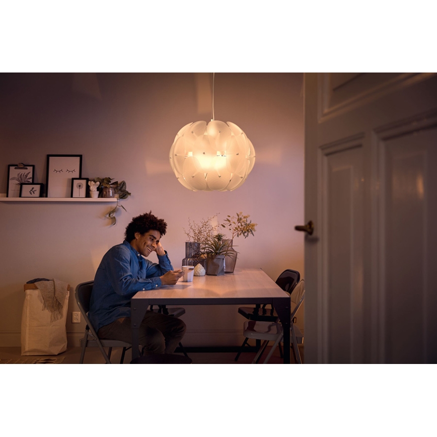 Postbode verantwoordelijkheid stad Philips 40966/60/PN - Hanglamp MYLIVING ROSEVAL 1x E27 / 60W / 230V |  Lumimania