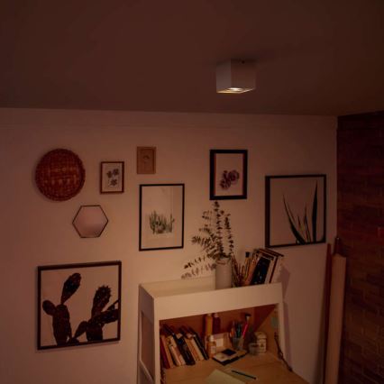 Philips - Dimbare LED-spotlamp LED/4,5W/230V